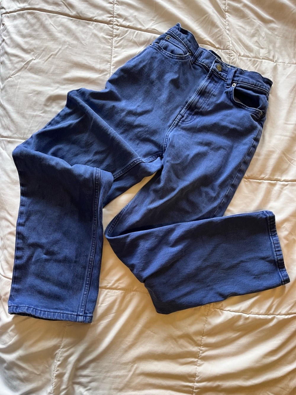 Everlane Way-High Jeans 24 Regular in a Blue Wash